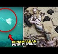 Video Penampakan Putri Duyung